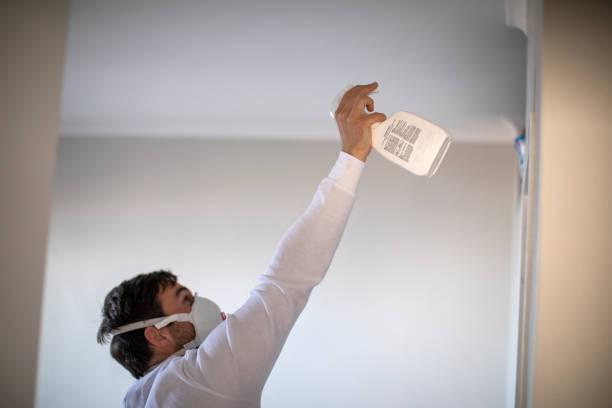 Louisburg, NC Mold Remediation Company